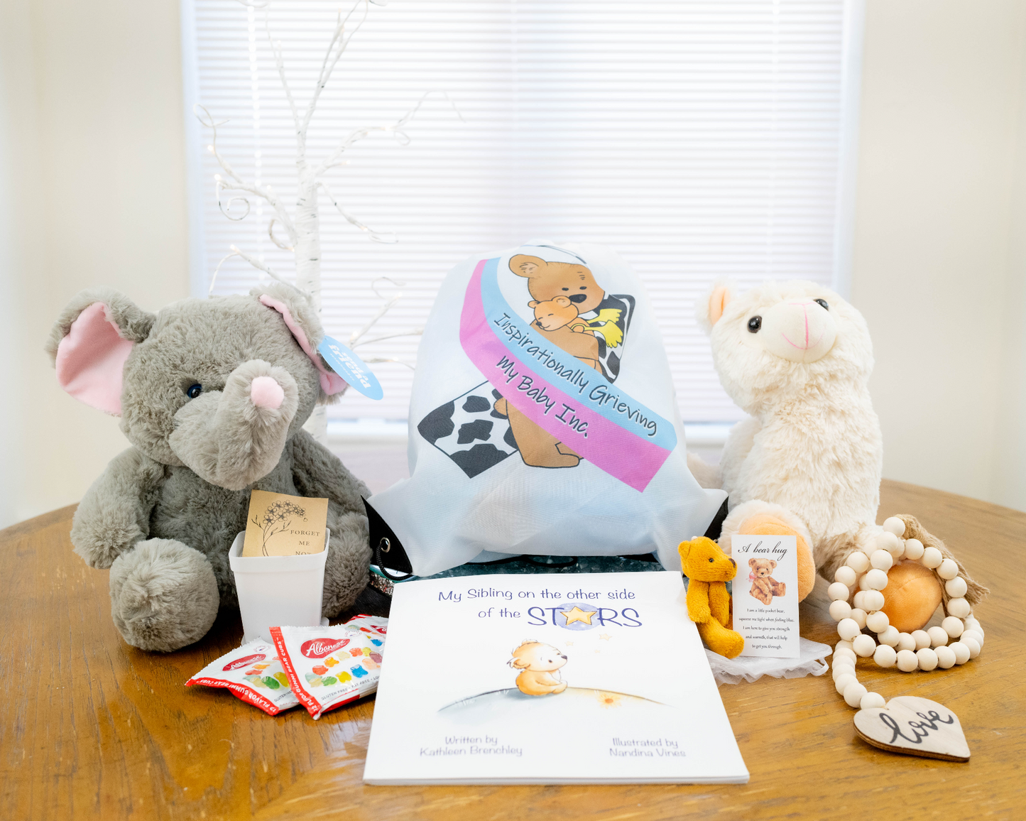 Beary Loved Comfort Kit-Standard Edition- (for siblings of loss)